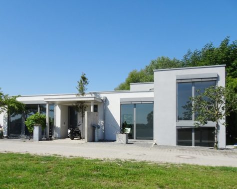 Die Kunst einzigartig zu sein. Moderne Architektur in exklusiver Lage. Villa „Am See“., 67547 Worms, Einfamilienhaus