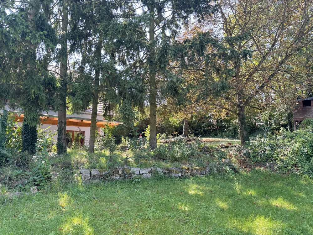 Blick vom Garten