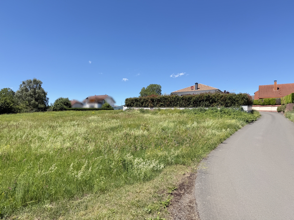 Naturbelassener Grundstücksteil