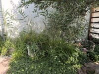 Sitzecke mit Teich