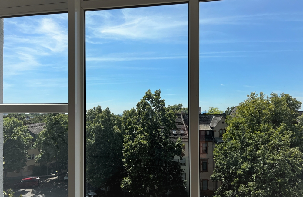 Ausblick