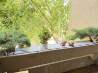 Loggia