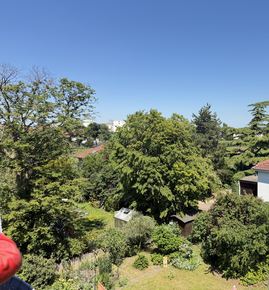 Ausblick