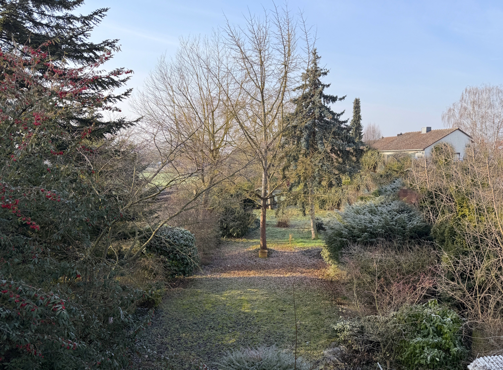 Blick vom Balkon