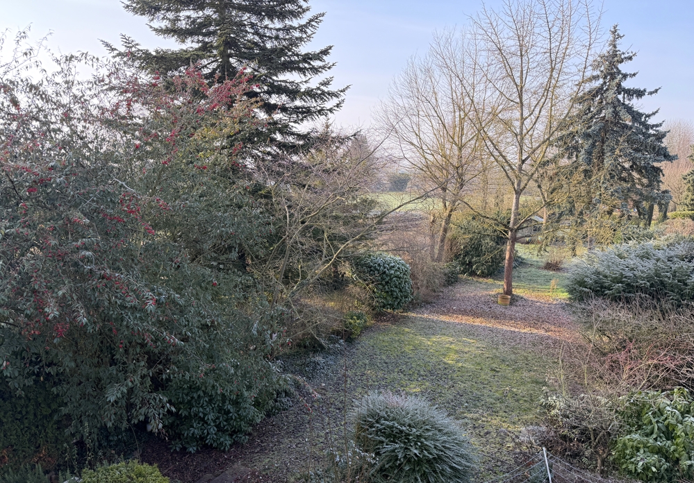 Blick vom Balkon