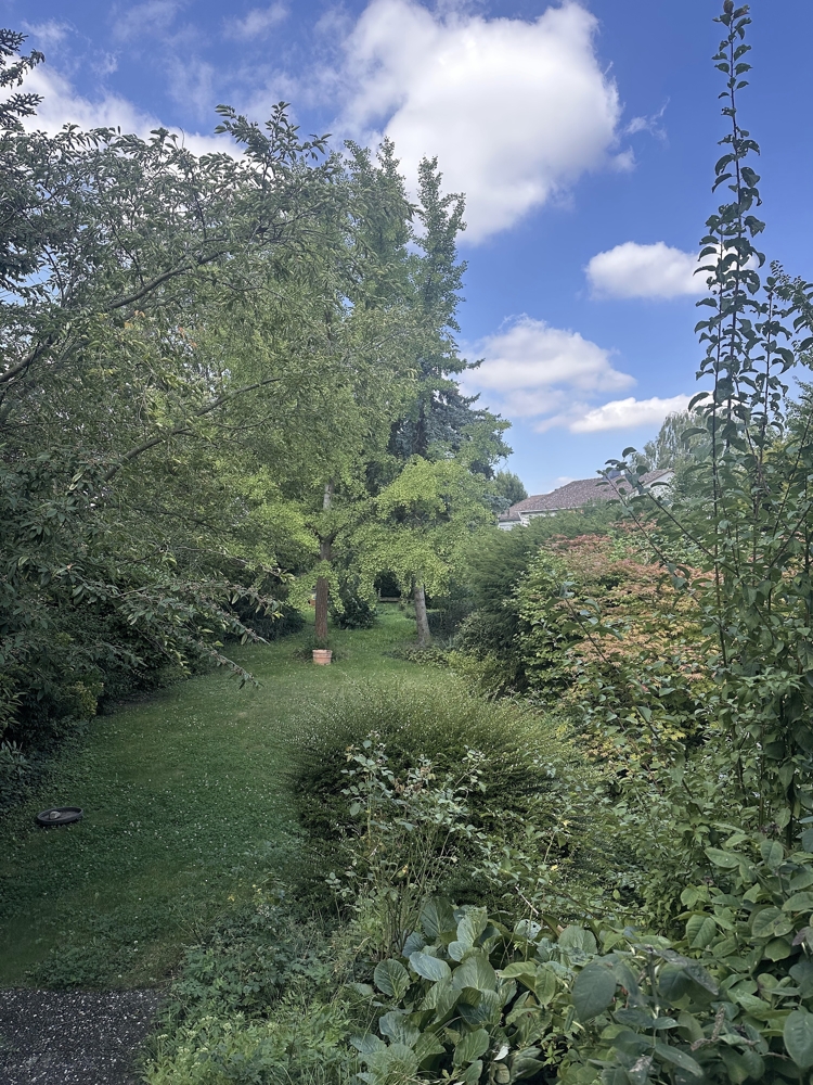 Sommerimpressionen