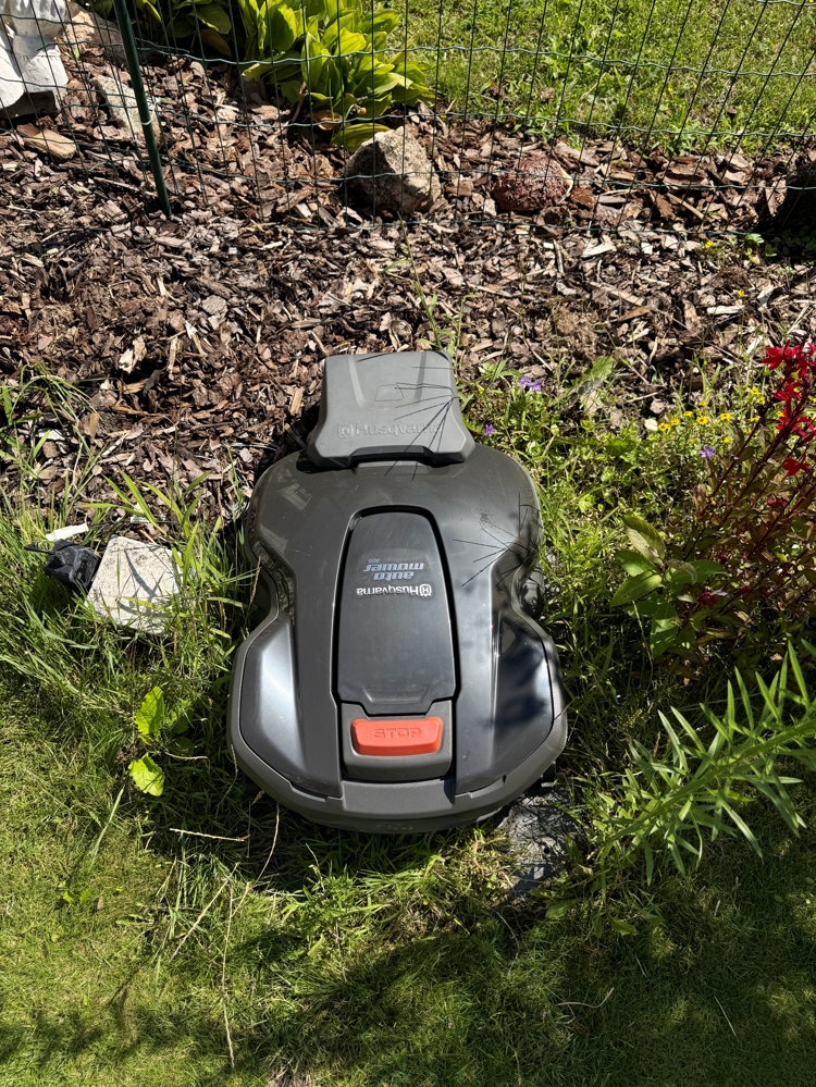 Mähroboter