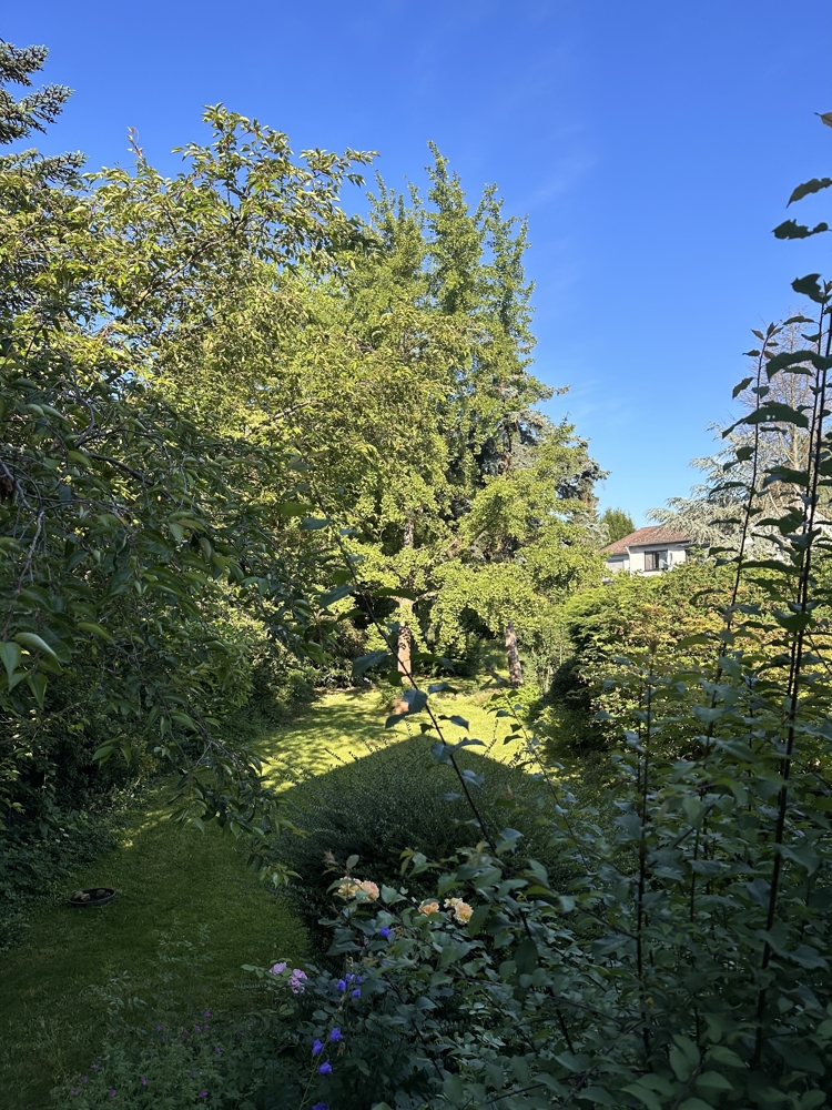 Sommerimpressionen