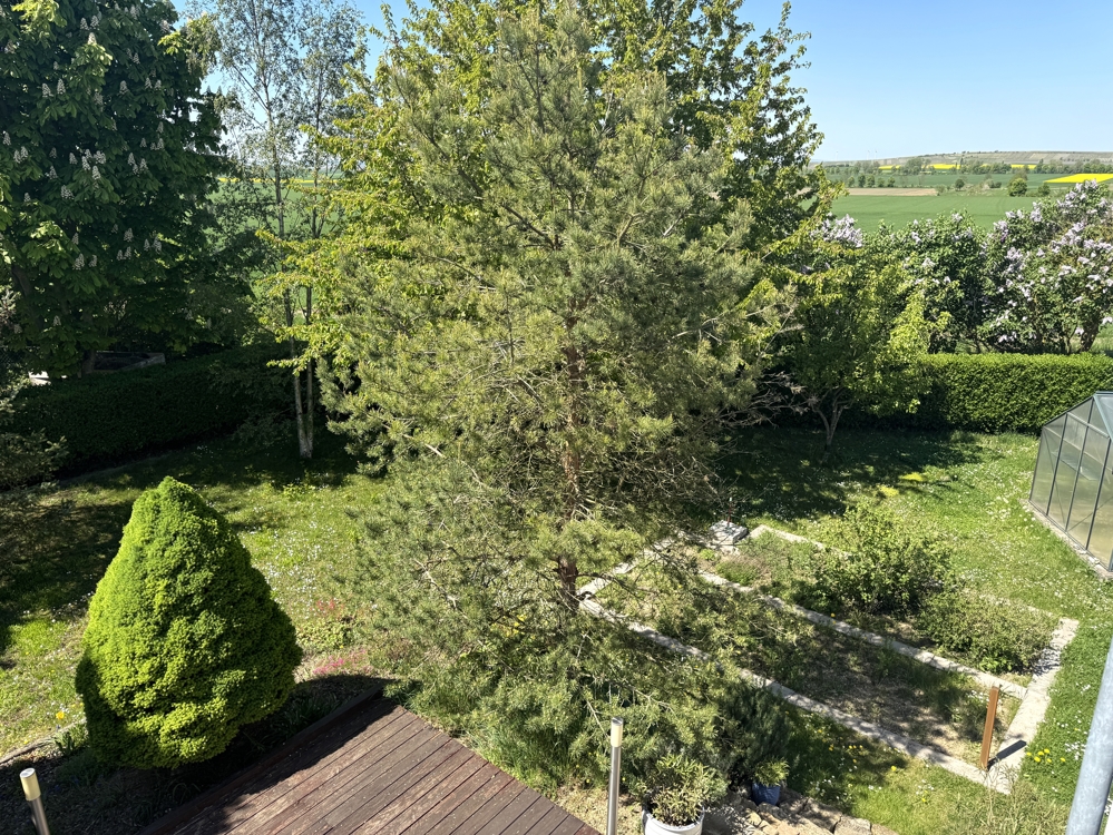 Blick vom OG