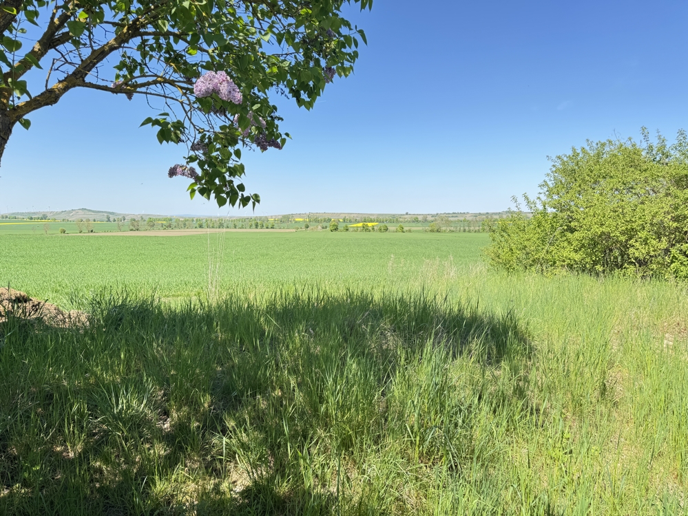 Feldrandnähe