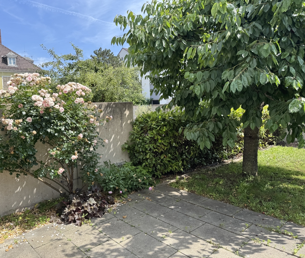 Terrasse und Garten
