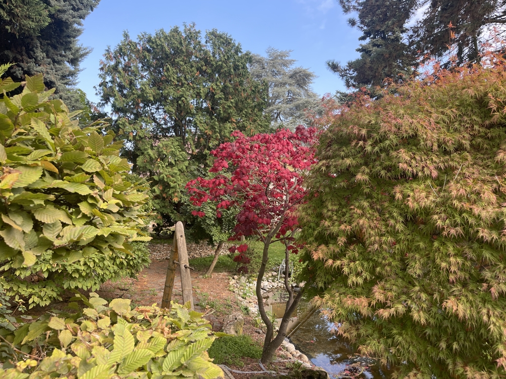Garten