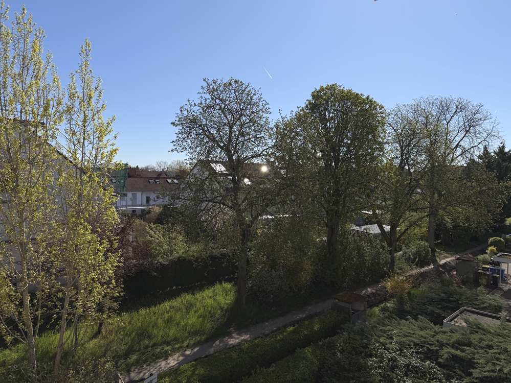 Blick vom Balkon 1