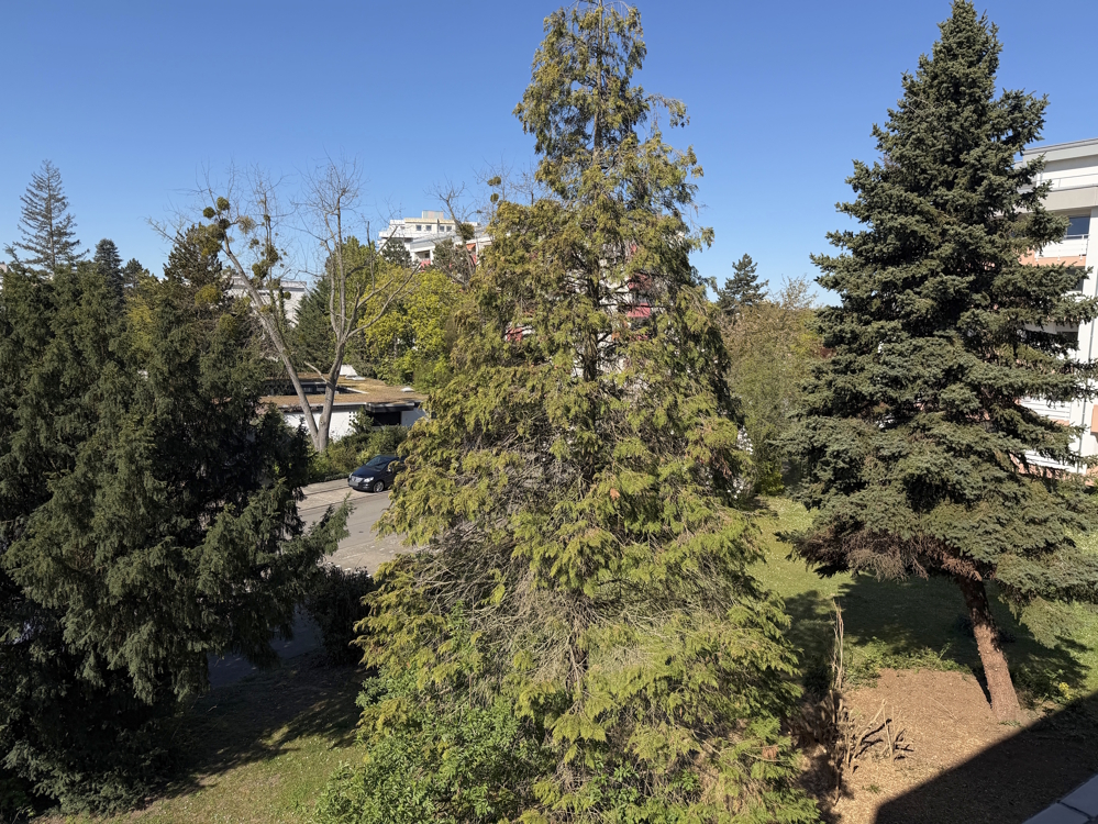 Ausblick Balkon 2